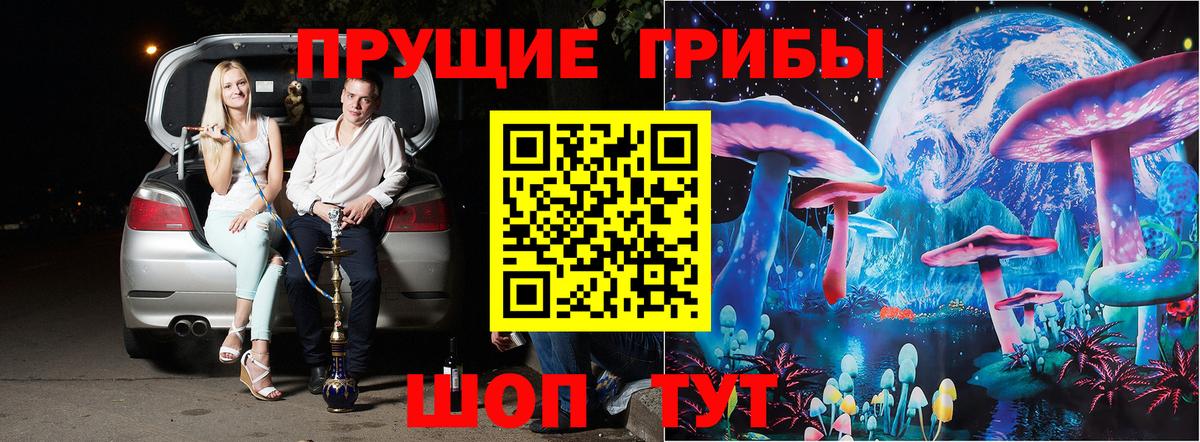 Псилоцибиновые грибы прущие грибы  Вход с VPN  Павлово 