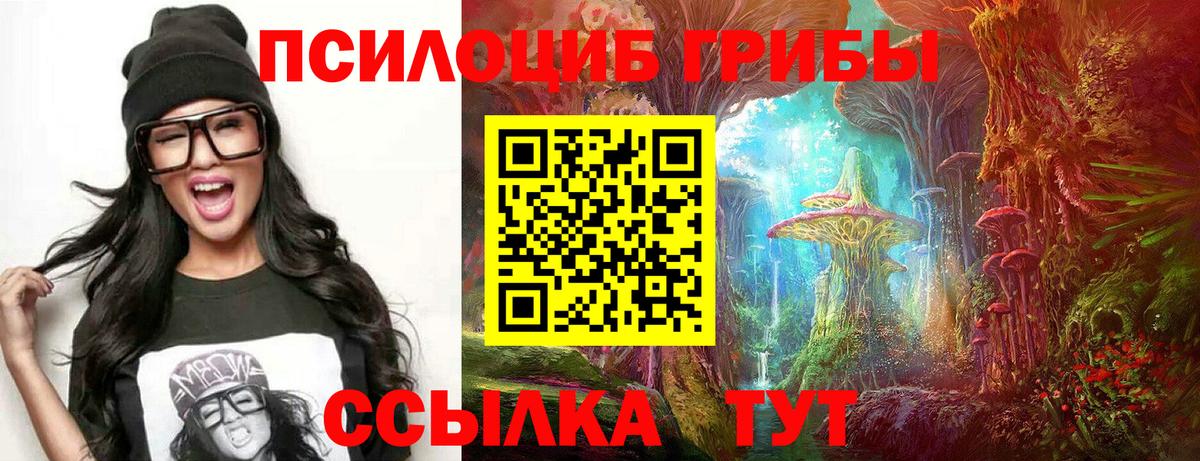 Псилоцибиновые грибы прущие грибы Павлово